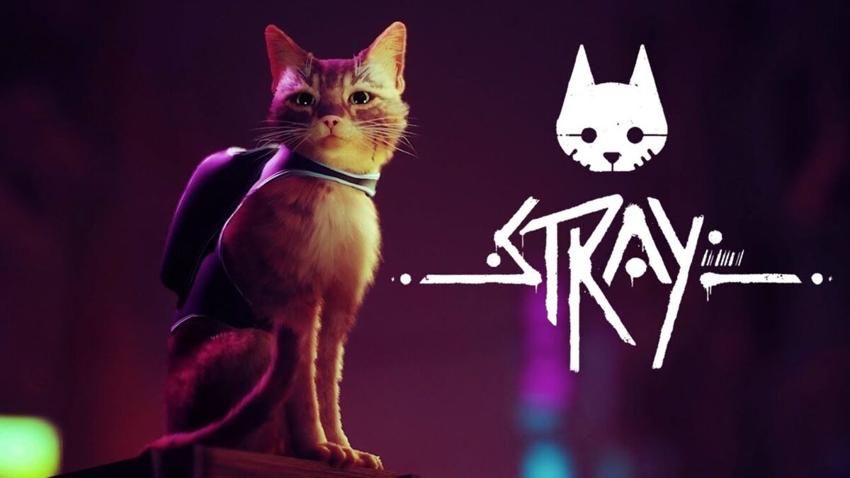 Stray - test reunion gaming crew