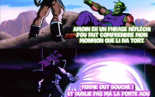 Na band technique lé imparable, même si oulé un grand guerrier. #MemeEkLaGardeOuCalePasÇa #ToutesLesMonmonsYconéLeTeknik #MemeOutPapaYGainPuDiRienDevantÇa