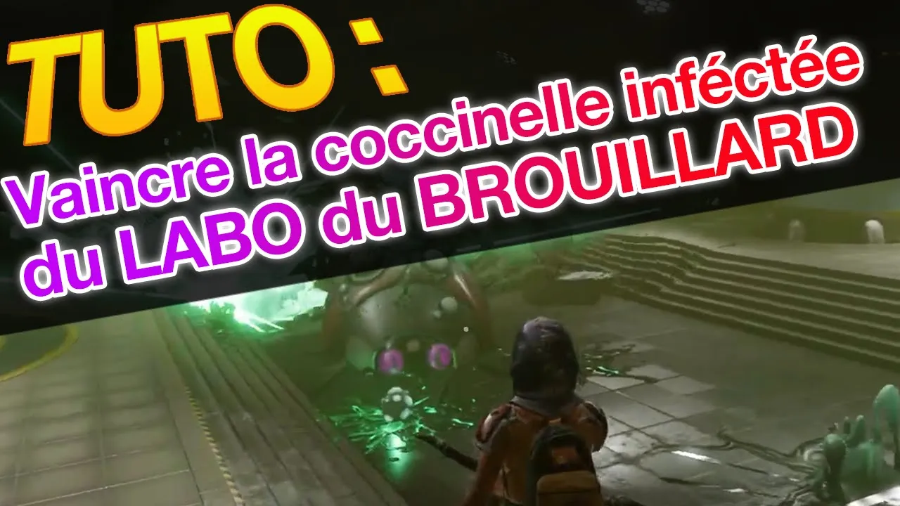labo du brouillard coccinelle infectee grounded