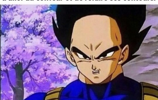 meme reunion gaming crew vegeta