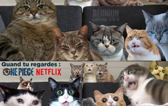 one piece netflix meme  reunion gaming crew